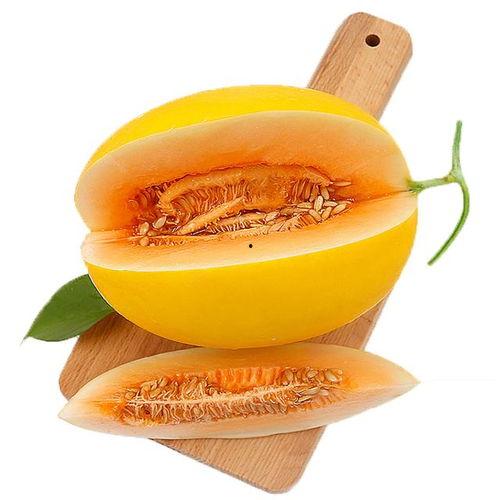 吃杨角蜜瓜,杨角蜜瓜的美味之旅