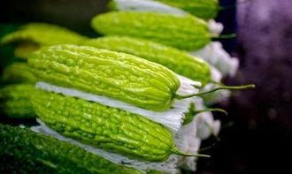 最后悔吃的瓜,盘点那些让人追悔莫及的“最后悔吃的瓜”