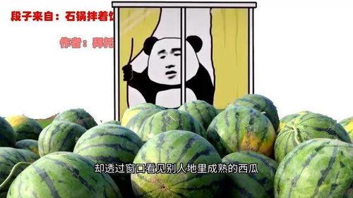 表哥吃瓜哪集,揭秘娱乐圈背后的秘密