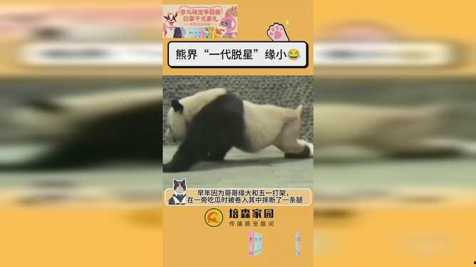 吃瓜断腿,揭秘网络谣言的危害