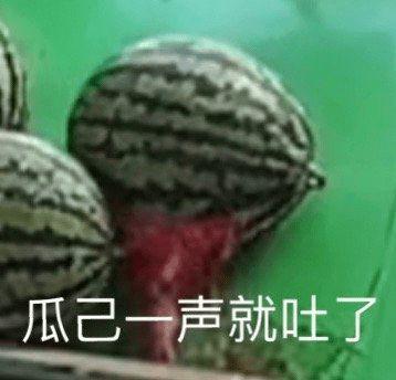 吃瓜吃多了呕吐,呕吐背后的健康警示