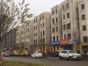 郓城小区吃瓜,一场吃瓜盛宴背后的邻里温情