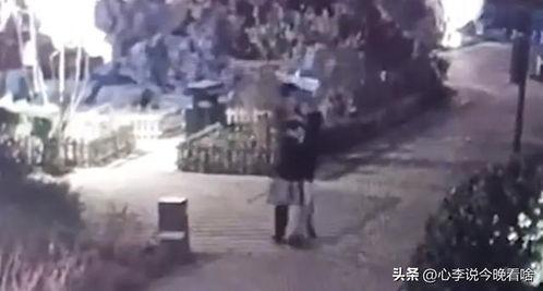 鞍山吃瓜事件视频,一场网络热议的街头冲突揭秘