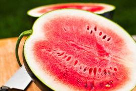 吃瓜每日必吃,轻松吃瓜，快乐生活