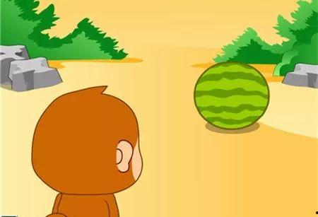 看小猴子吃瓜