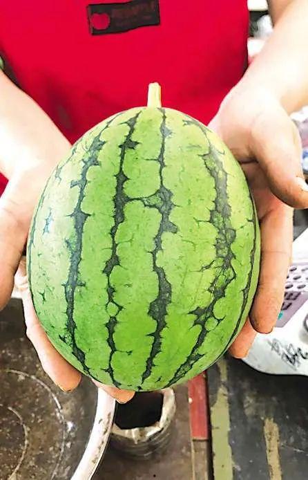 青岛学生吃瓜群众免费吃瓜微信区,微信区掀起夏日狂欢热潮