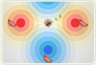 蚂蚁吃瓜绘画,瓜田里的美食探险记