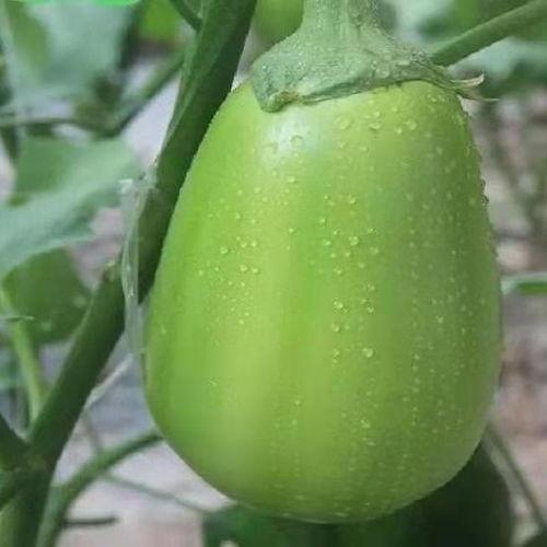 永年圆圆吃瓜细节,细节曝光，真相令人咋舌