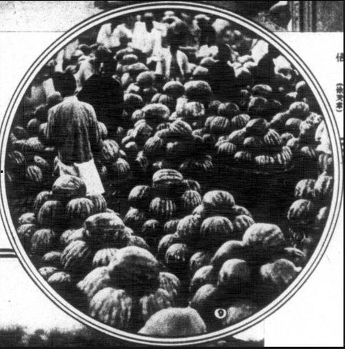 杭州上海吃瓜事件,一场网络热议的美食纠葛