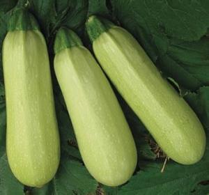 黄骅吃瓜最新爆料,最新爆料揭秘幕后真相